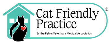Cat Friendly Practice Icon