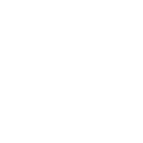 Pet Microchipping Icon