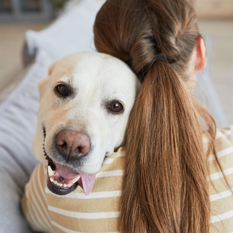 Girl hugging happy yellow lab