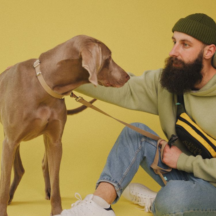 Man kneeling with dog, yellow background