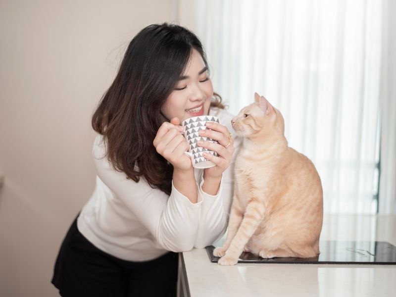 Woman with cat, coffee Woman with cat, coffee