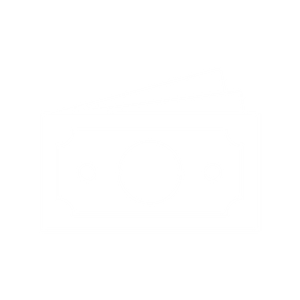 cash icon