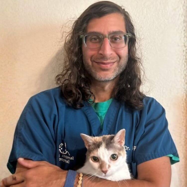 Dr Ankur Gupta Dr. Ankur Gupta