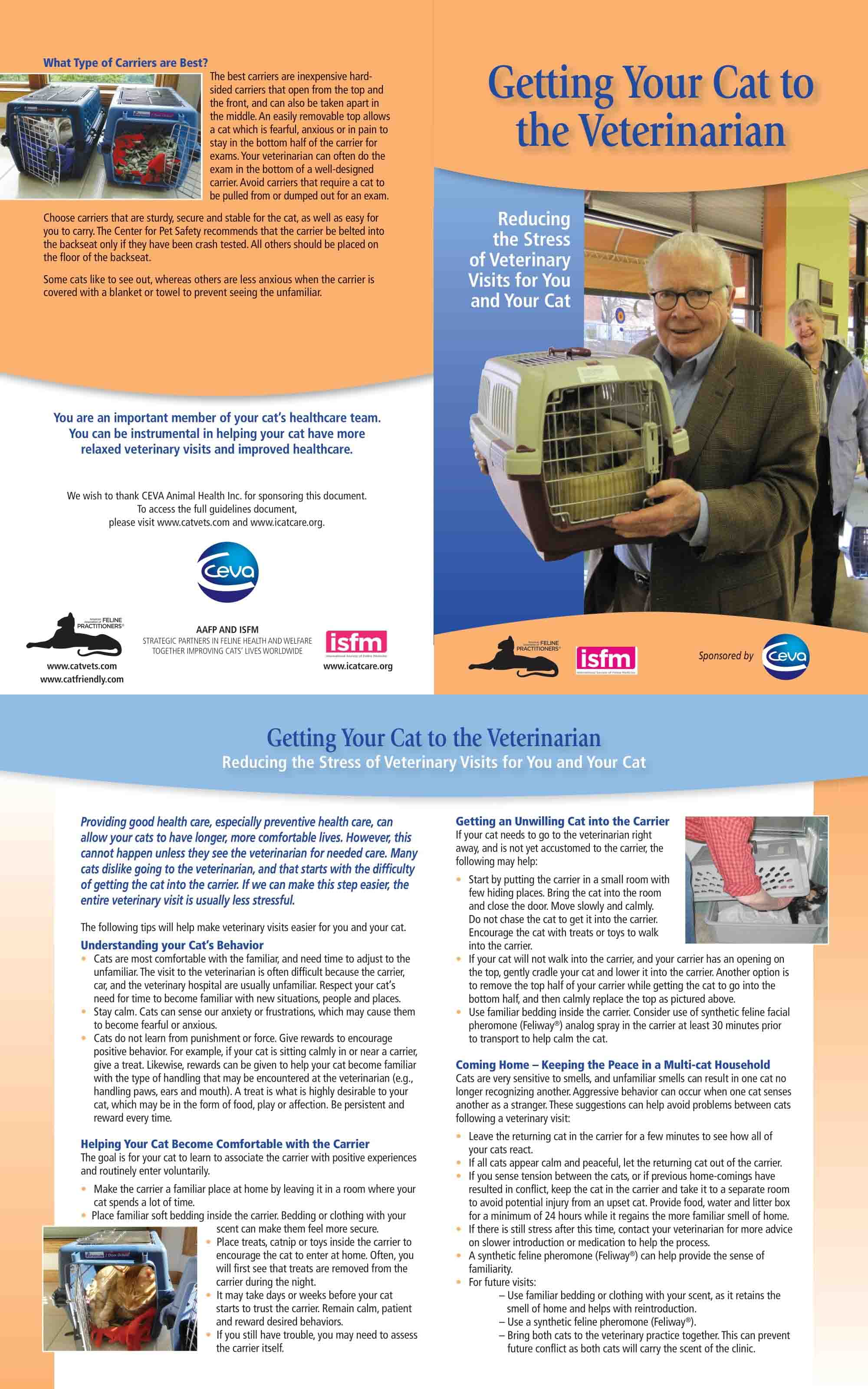 kyle-animal-hospital-getting-your-cat-to-the-vet-english 